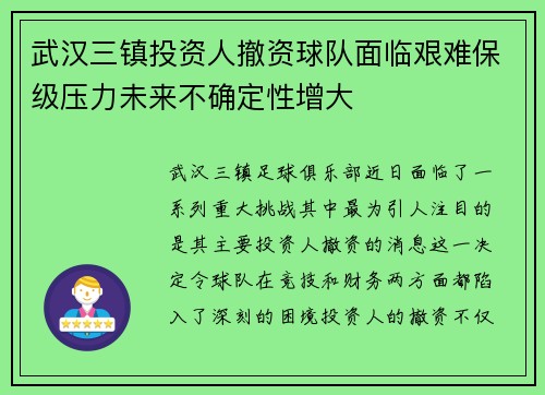 武汉三镇投资人撤资球队面临艰难保级压力未来不确定性增大